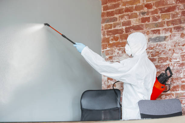 Best Real Estate Mold Inspection  in Holiday City South, NJ
