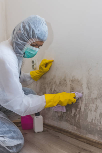 Best Mold-Related Health Consultation  in Holiday City South, NJ