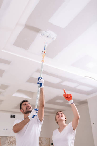 Best Emergency Mold Remediation  in Holiday City South, NJ